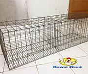 Kandang Ayam Grower