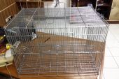 kandang-lovebird-2